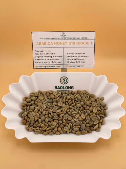 Arabica Honey Coffee Beans S18 From Vietnam
