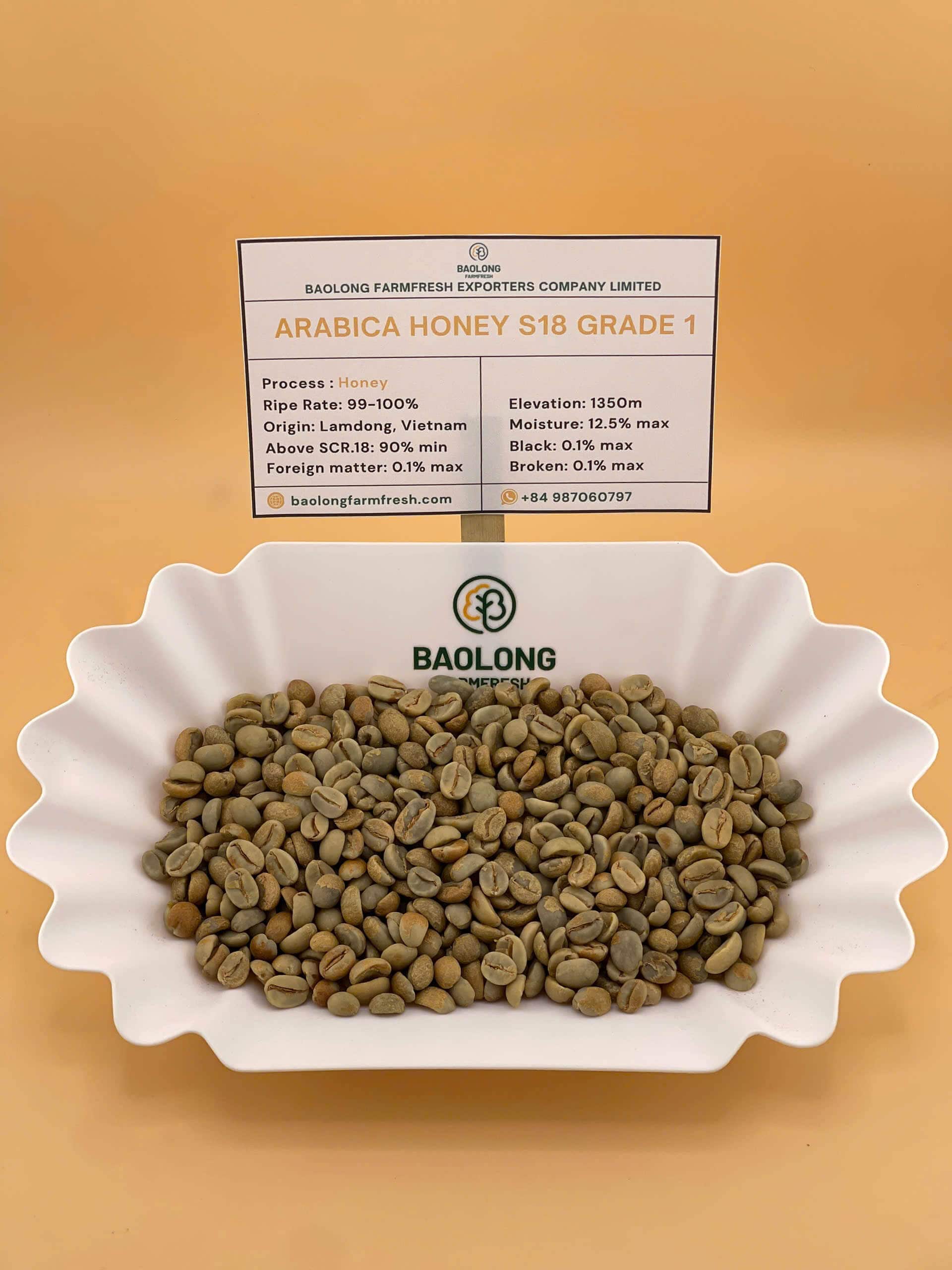 Arabica Honey Coffee Beans S18 From Vietnam