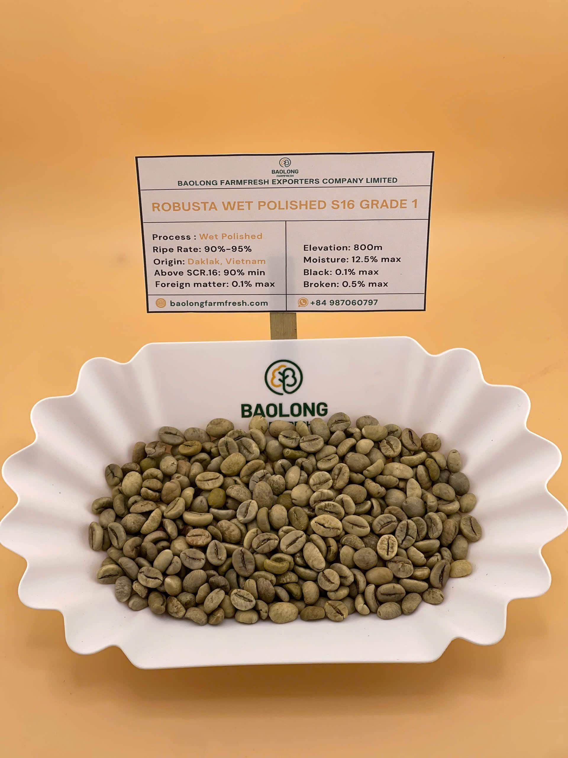 Arabica Honey Coffee Beans S18 From Vietnam