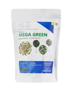 MEGA GREEN - Siêu Vi Sinh Xử Lý Nước Thế Hệ Mới