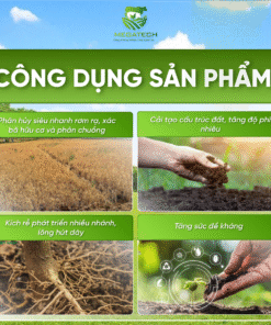 Alternative view of Phân Bón Megaroot Nutri Extra - Siêu Kích Rễ, Bung Đọt, Hạn Chế Sâu Bệnh Nấm
