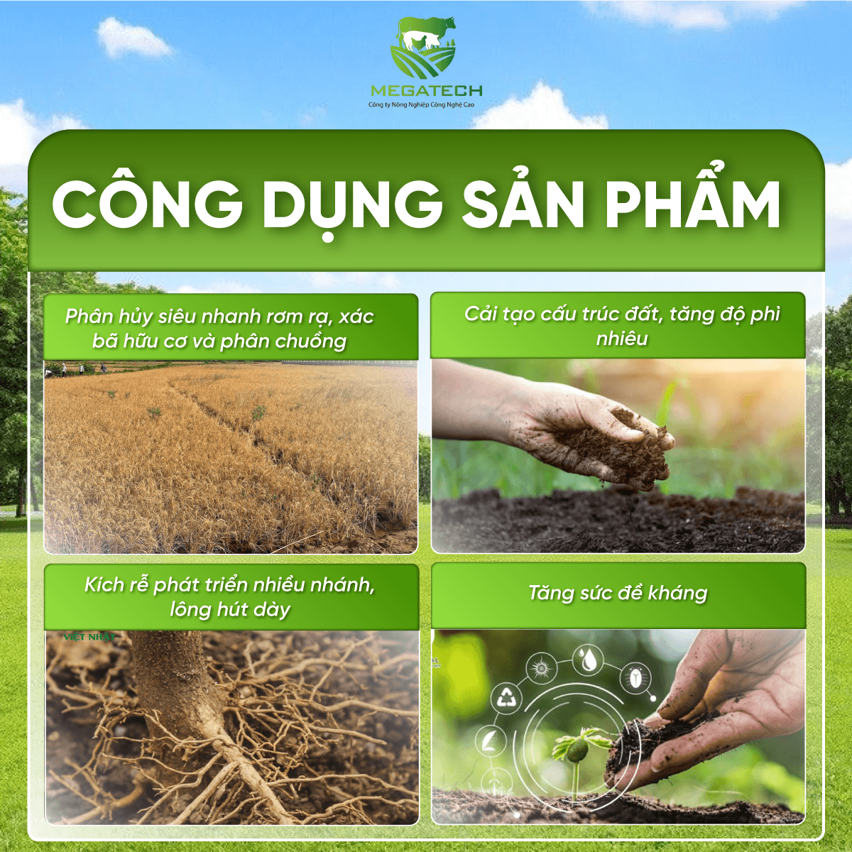 Phân Bón Megaroot Nutri Extra - Siêu Kích Rễ, Bung Đọt, Hạn Chế Sâu Bệnh Nấm - Ảnh 2