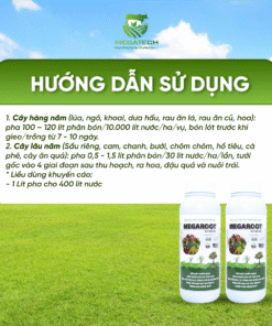 Phân Bón Megaroot Nutri Extra - Siêu Kích Rễ, Bung Đọt, Hạn Chế Sâu Bệnh Nấm - Ảnh 4