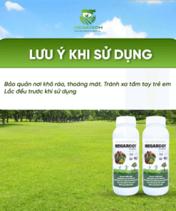 Phân Bón Megaroot Nutri Extra - Siêu Kích Rễ, Bung Đọt, Hạn Chế Sâu Bệnh Nấm - Ảnh 5