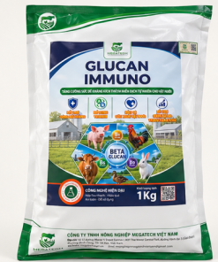 BENCID 100 + GLUCAN IMMUNO – Combo Hỗ Trợ Phòng Dịch Cho Gia Súc, Gia Cầm